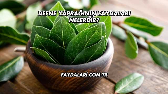 Defne Yaprağının Faydaları Nelerdir?