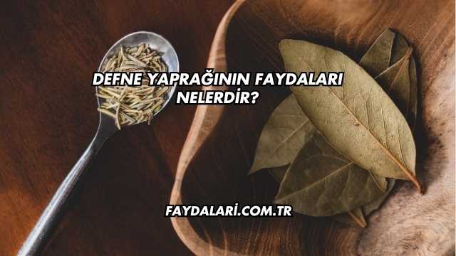Defne Yaprağının Faydaları Nelerdir?