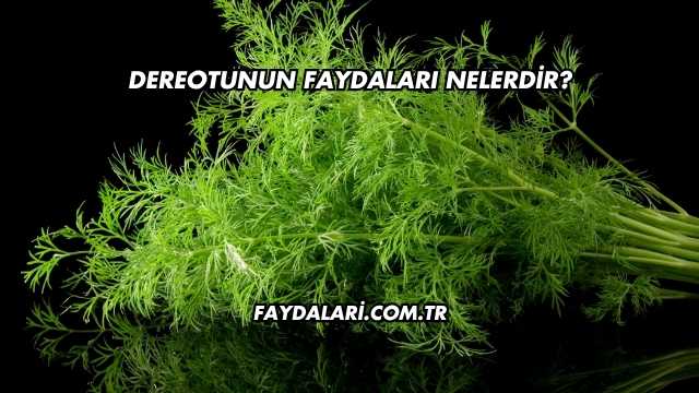 Dereotunun Faydaları Nelerdir?