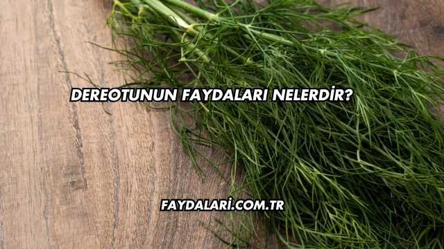 Dereotunun Faydaları Nelerdir?