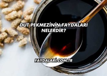 Dut Pekmezinin Faydaları Nelerdir?