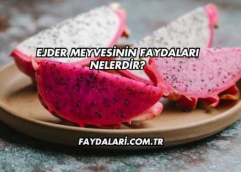 Ejder Meyvesinin Faydaları Nelerdir?