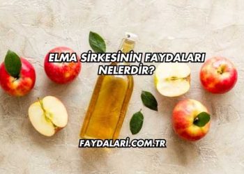 Elma Sirkesinin Faydaları Nelerdir?