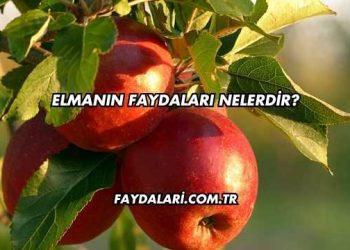 Elmanın Faydaları Nelerdir?