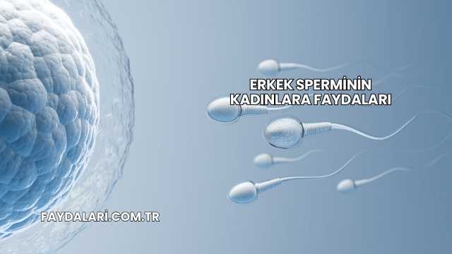 Erkek Sperminin Kadınlara Faydaları