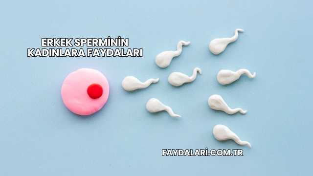 Erkek Sperminin Kadınlara Faydaları