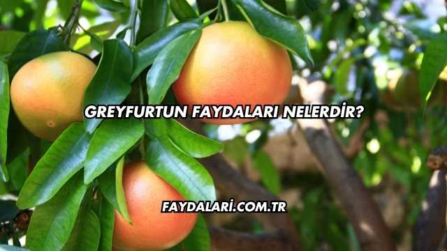 Greyfurtun Faydaları Nelerdir?