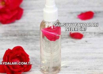 Gül Suyu Faydaları Nelerdir?