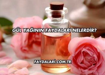 Gül Yağının Faydaları Nelerdir?