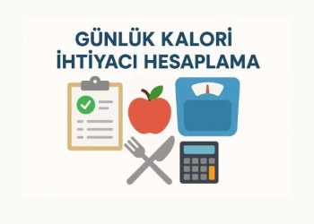 Günlük Kalori İhtiyacı Hesaplama