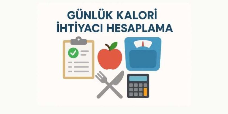 Günlük Kalori İhtiyacı Hesaplama
