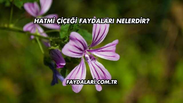 Hatmi Çiçeği Faydaları Nelerdir?