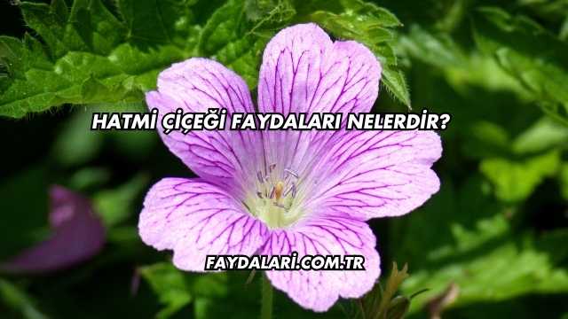 Hatmi Çiçeği Faydaları Nelerdir?