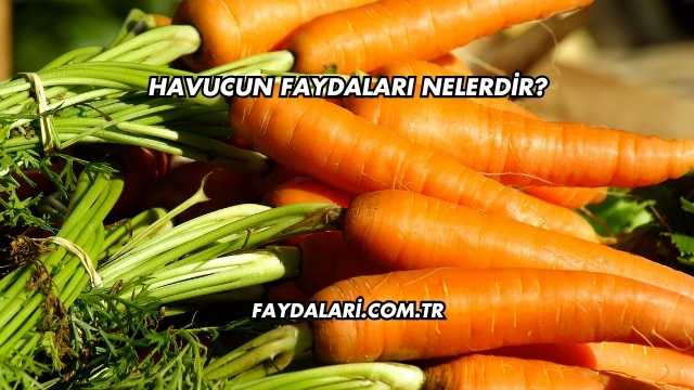 Havucun Faydaları Nelerdir?