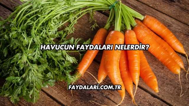 Havucun Faydaları Nelerdir?