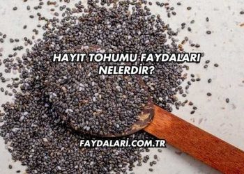 Hayıt Tohumu Faydaları Nelerdir?