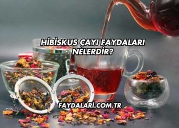 Hibiskus Çayı Faydaları Nelerdir?