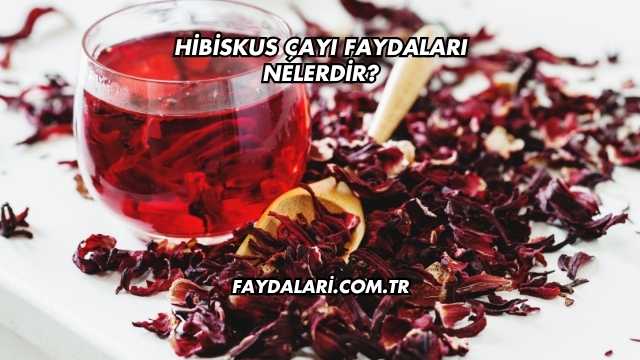 Hibiskus Çayı Faydaları Nelerdir?
