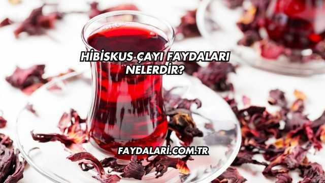 Hibiskus Çayı Faydaları Nelerdir?