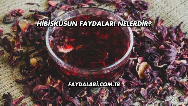 Hibiskusun Faydaları Nelerdir?