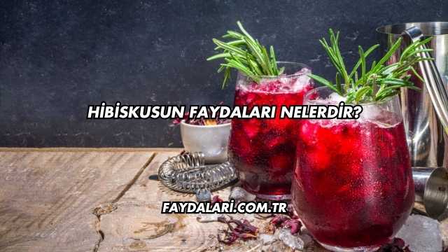 Hibiskusun Faydaları Nelerdir?
