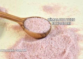 Himalaya Tuzu Faydaları