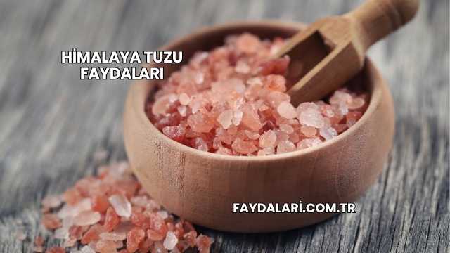 Himalaya Tuzu Faydaları