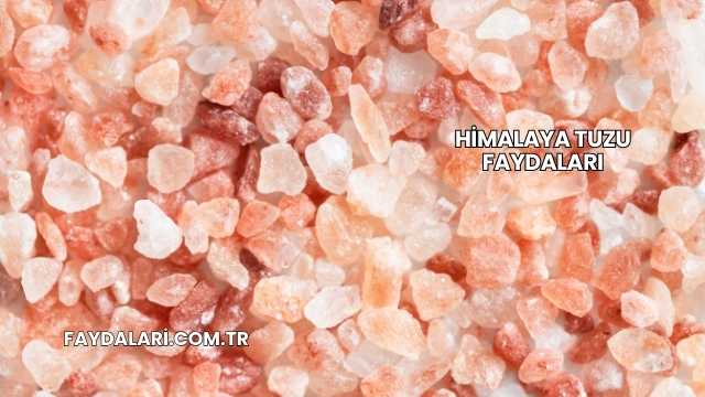 Himalaya Tuzu Faydaları
