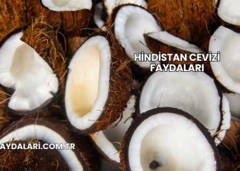 Hindistan Cevizi Faydaları