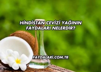 Hindistan Cevizi Yağının Faydaları Nelerdir?