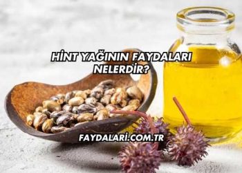 Hint Yağının Faydaları Nelerdir?