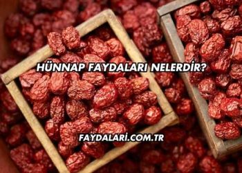 Hünnap Faydaları Nelerdir?