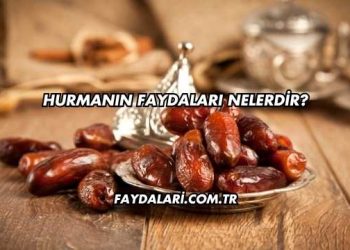 Hurmanın Faydaları Nelerdir?