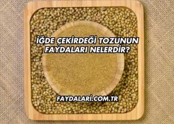 İğde Çekirdeği Tozunun Faydaları Nelerdir?