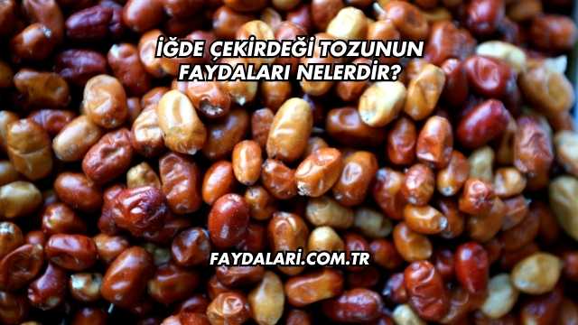 İğde Çekirdeği Tozunun Faydaları Nelerdir?