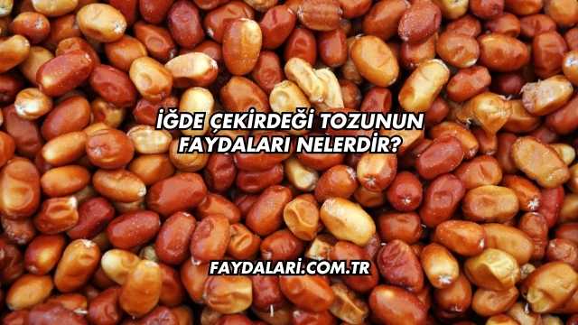İğde Çekirdeği Tozunun Faydaları Nelerdir?
