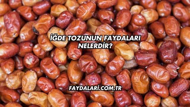 İğde Tozunun Faydaları Nelerdir?