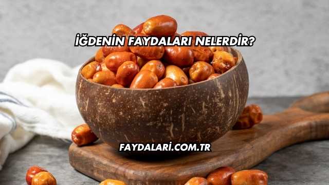 İğdenin Faydaları Nelerdir?