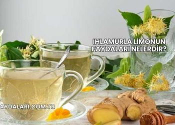 Ihlamurla Limonun Faydaları Nelerdir?