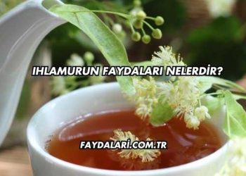 Ihlamurun Faydaları Nelerdir?