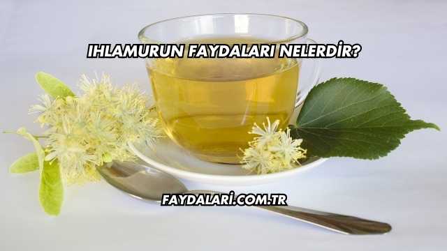 Ihlamurun Faydaları Nelerdir?