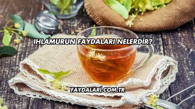 Ihlamurun Faydaları Nelerdir?