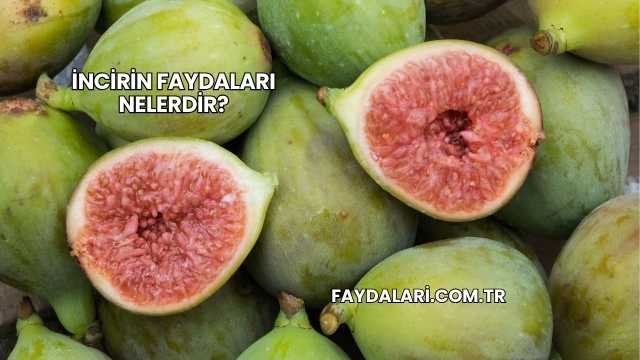 İncirin Faydaları Nelerdir?