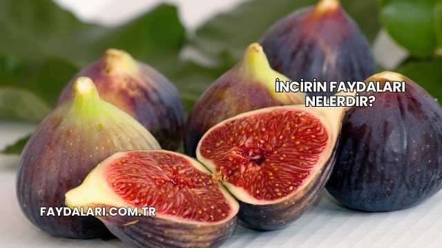 İncirin Faydaları Nelerdir?
