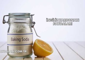 İngiliz Karbonatı Faydaları