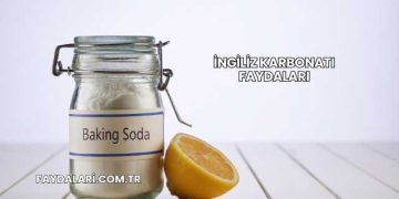 İngiliz Karbonatı Faydaları