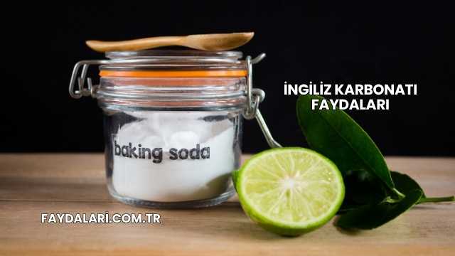 İngiliz Karbonatı Faydaları