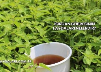 Isırgan Gübresinin Faydaları Nelerdir?