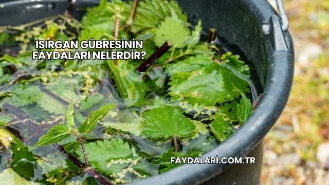 Isırgan Gübresinin Faydaları Nelerdir?