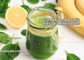 Ispanaklı Smoothie Faydaları Nelerdir?